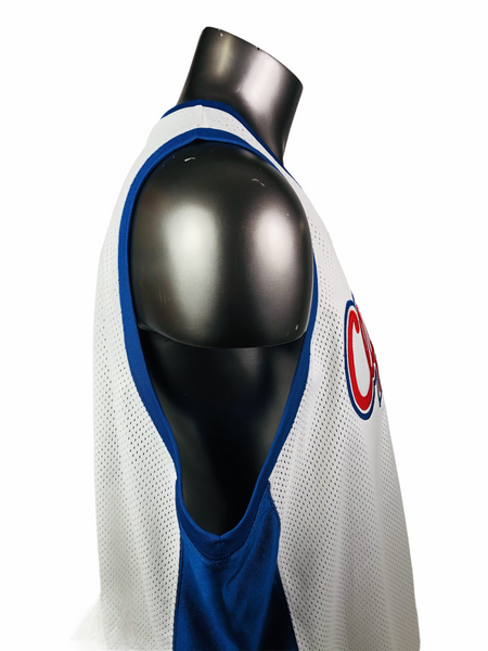 Champion Los Angeles Clippers Darius Miles Jersey – Santiagosports