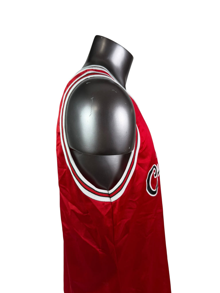 DENNIS RODMAN CHICAGO BULLS VINTAGE 1990'S 50TH ANNIVERSARY CHAMPION JERSEY ADULT 48