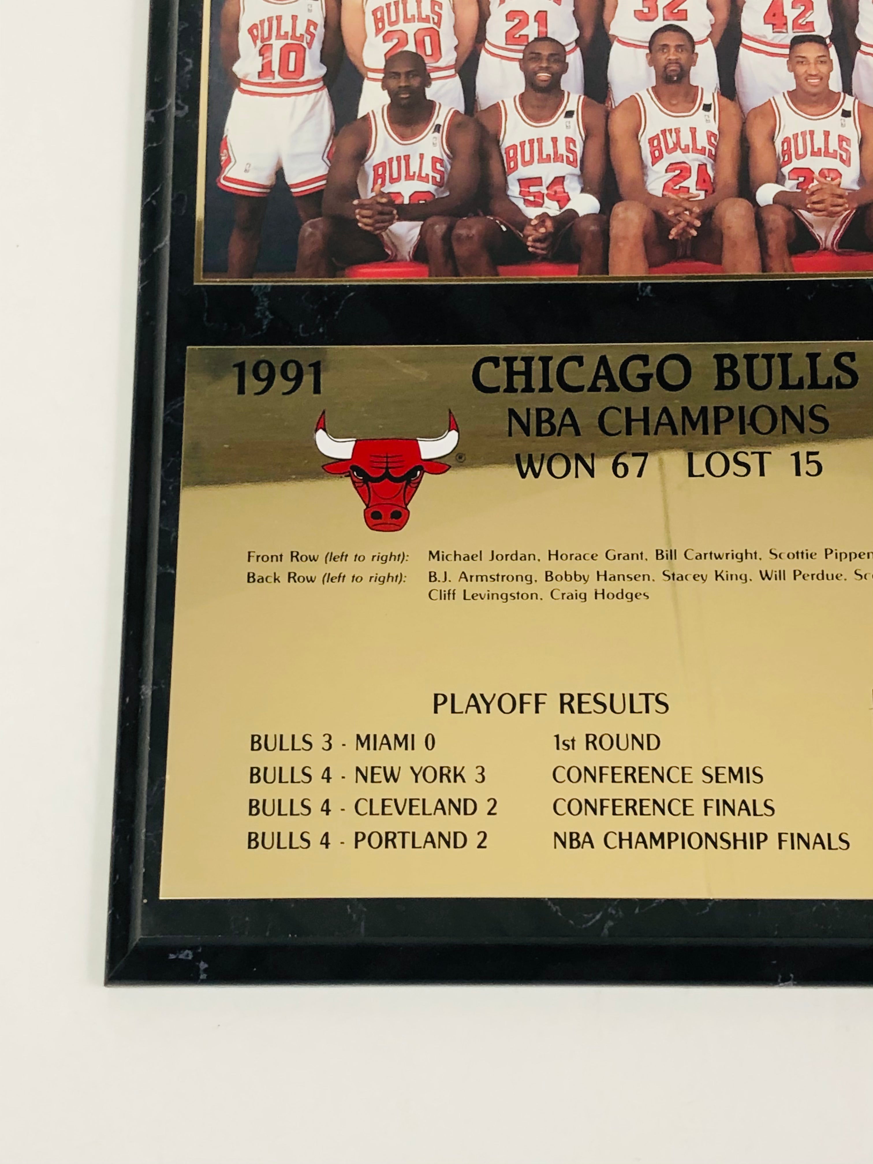 Champion Chicago Bulls NBA Fan Shop